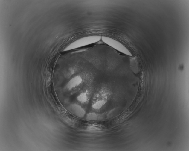 X0000115580471200912011443