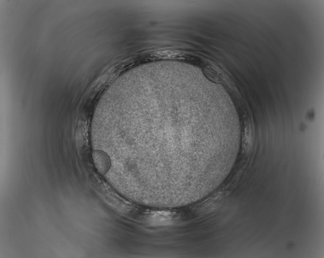 X0000115580473200912011443