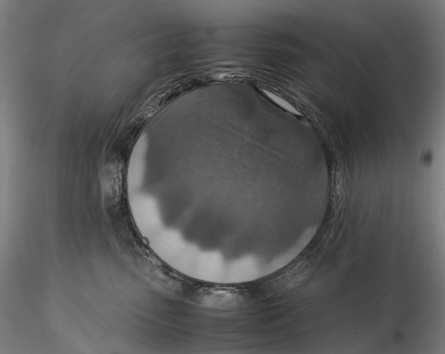 X0000115580475200912011443