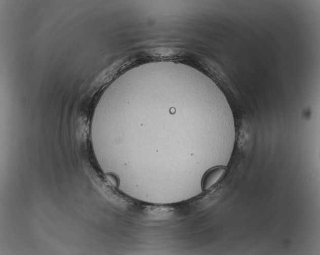 X0000115580476200912011443