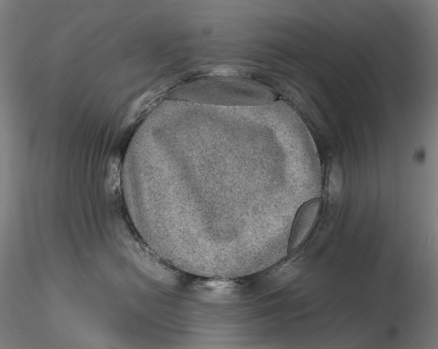 X0000115580478200912011443