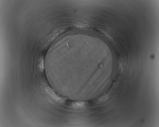 X0000115580479200912011443