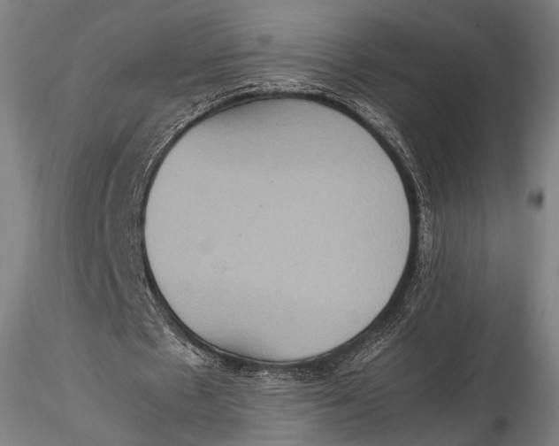 X0000115580481200912011443