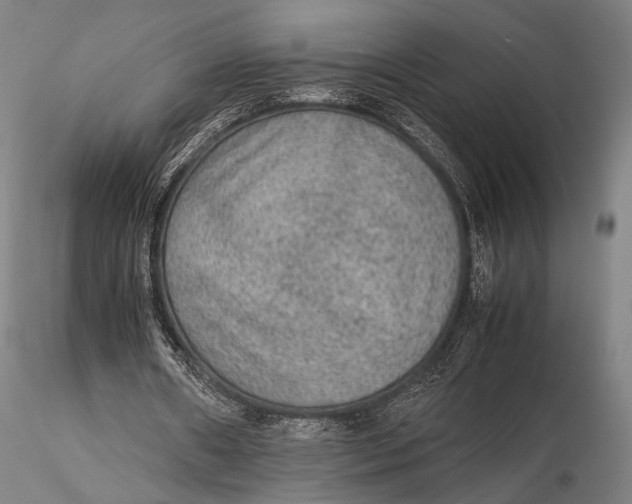 X0000115580482200912011443