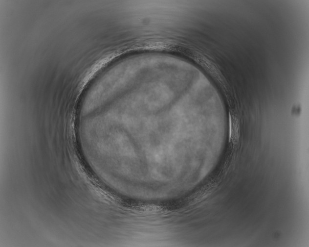 X0000115580483200912011443