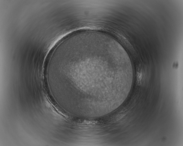 X0000115580484200912011443