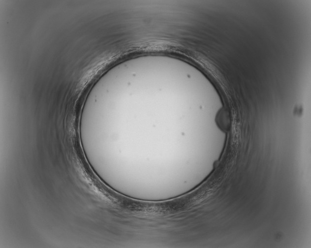 X0000115580485200912011443