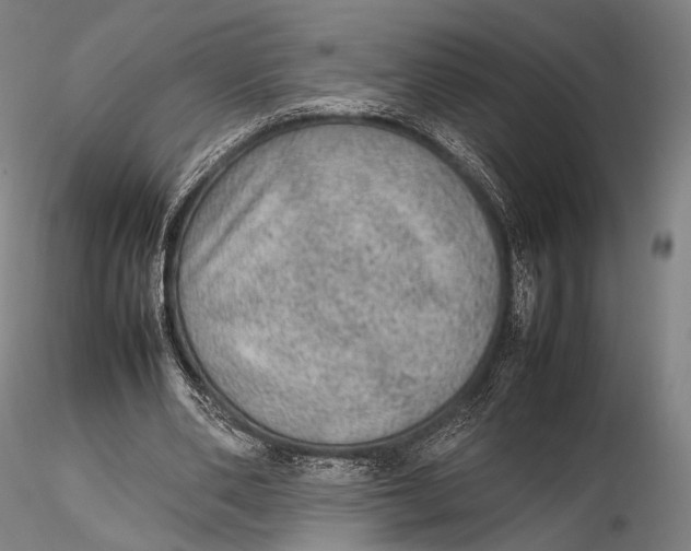 X0000115580486200912011443