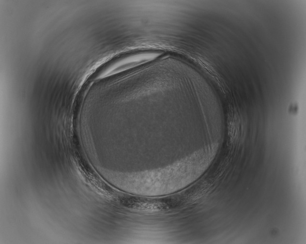 X0000115580488200912011442