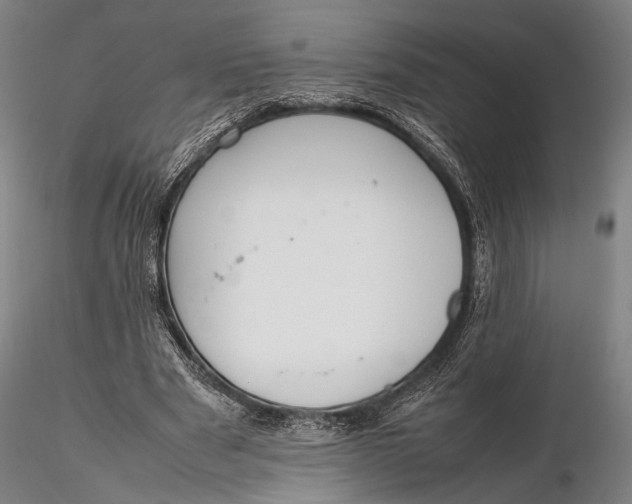 X0000115580489200912011442