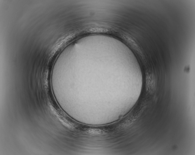 X0000115580490200912011442