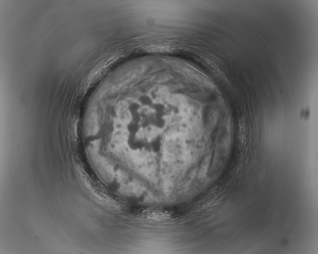 X0000115580491200912011442