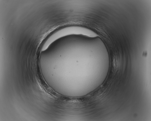 X0000115580492200912011442