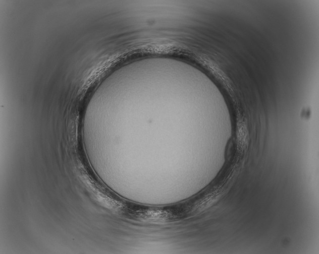 X0000115580493200912011442