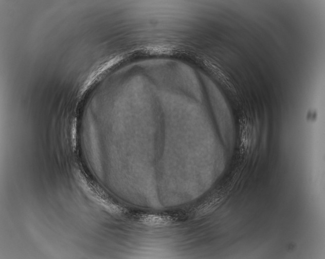 X0000115580494200912011442