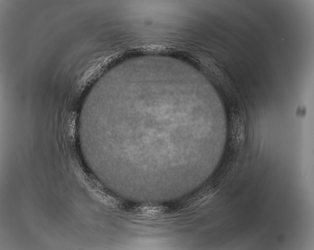 X0000115580495200912011442