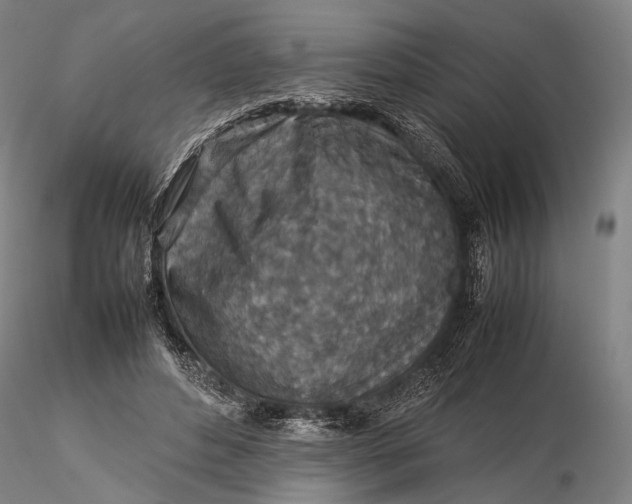 X0000115580496200912011442