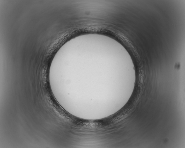 X0000115580497200912011442