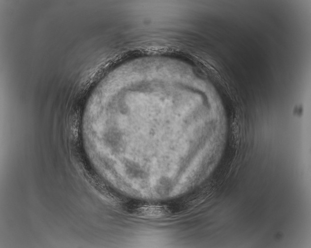 X0000115580499200912011442