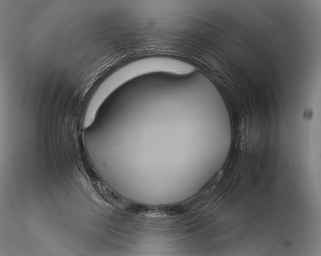 X0000115580500200912011442