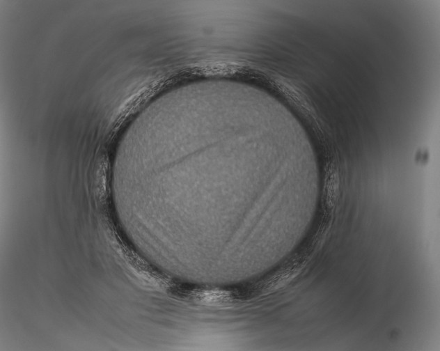 X0000115580501200912011442