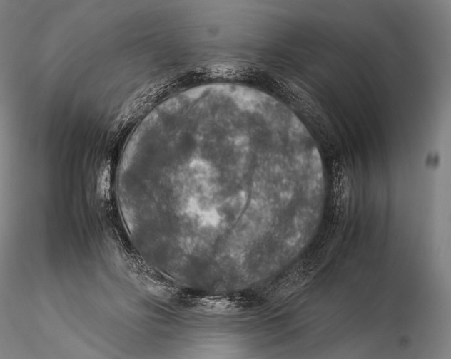 X0000115580502200912011442