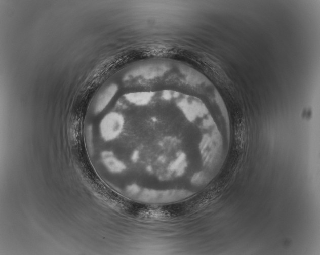 X0000115580503200912011442