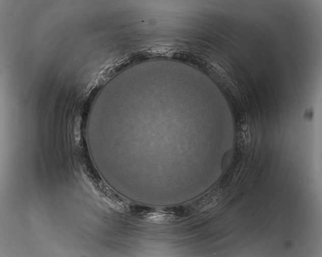 X0000115580504200912011442