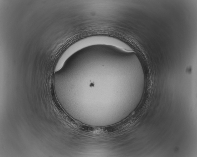 X0000115580505200912011442