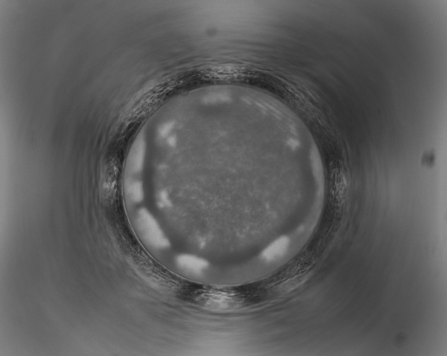 X0000115580507200912011442