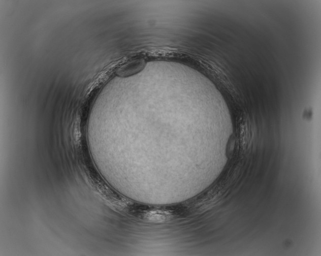 X0000115580508200912011442