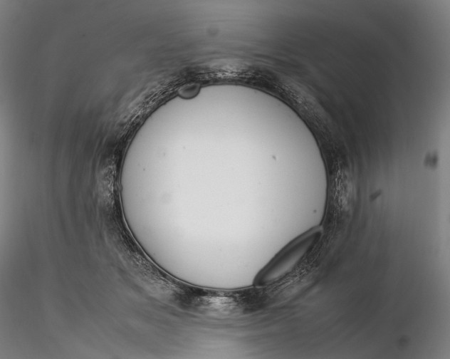 X0000115580509200912011442