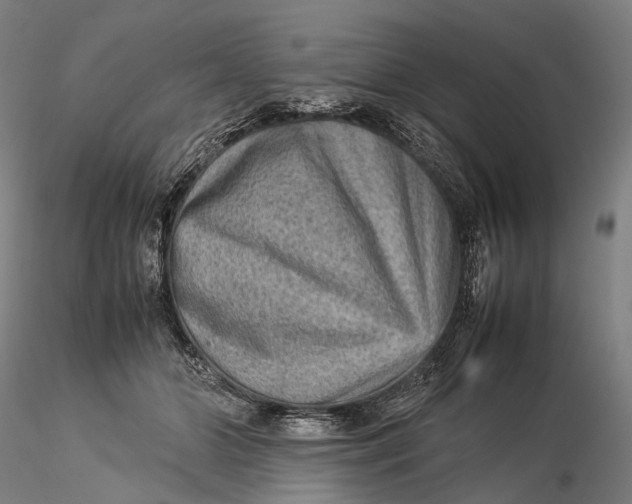 X0000115580510200912011442