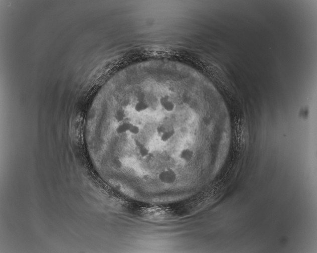 X0000115580511200912011442