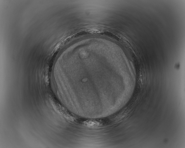 X0000115580512200912011442