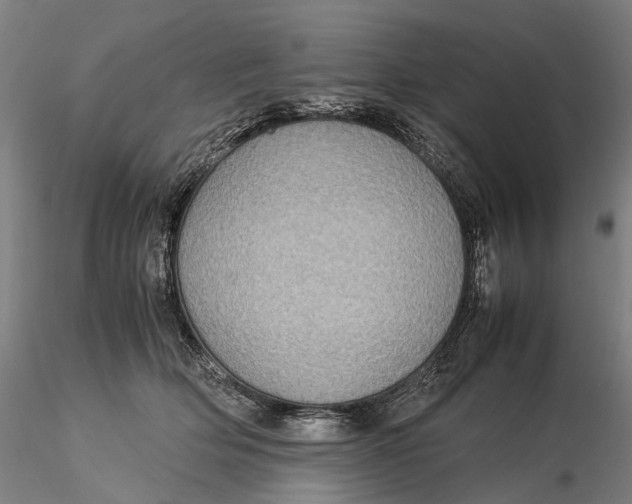 X0000115580514200912011442