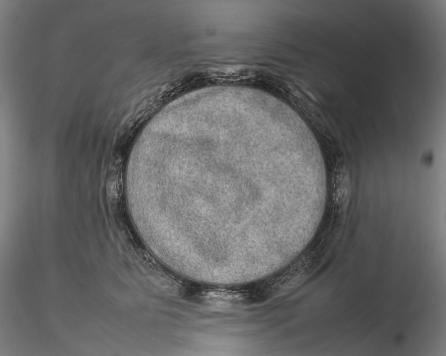 X0000115580515200912011442