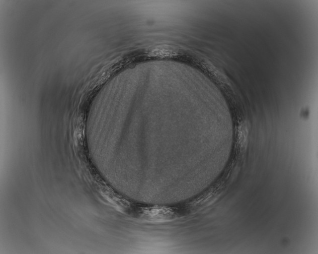 X0000115580517200912011442