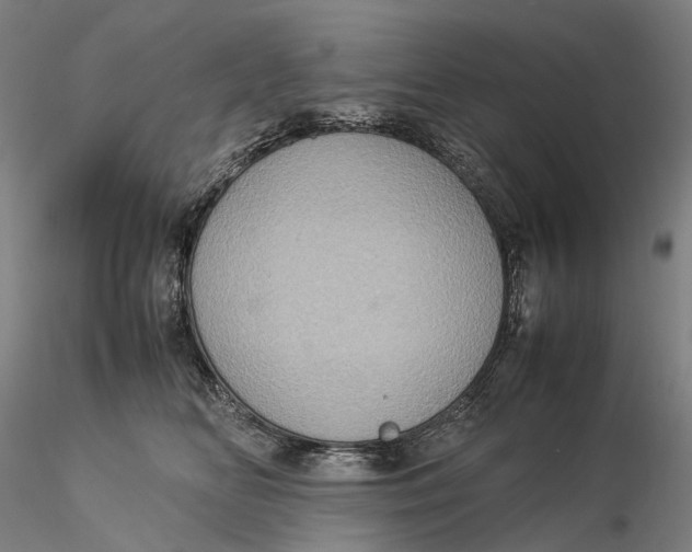 X0000115580518200912011442