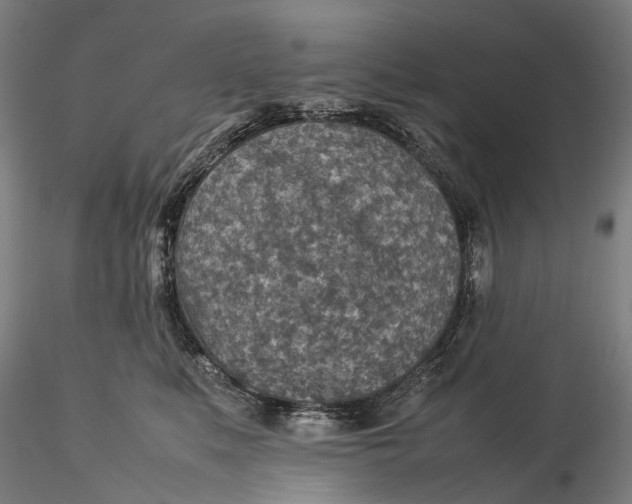 X0000115580519200912011442