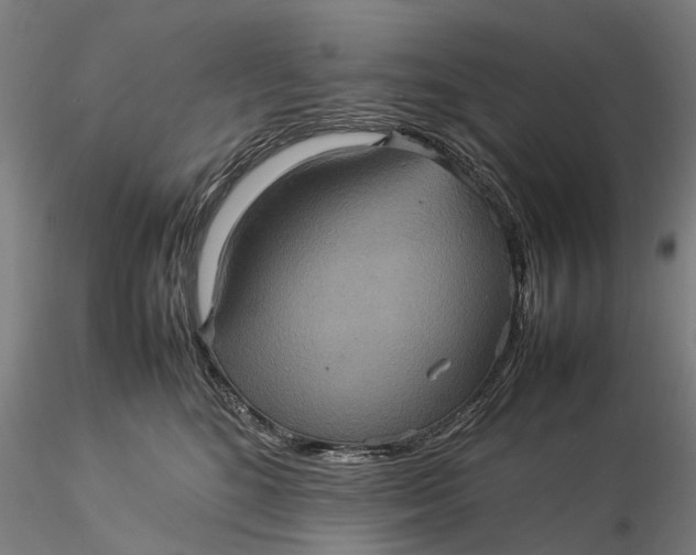 X0000115580520200912011442