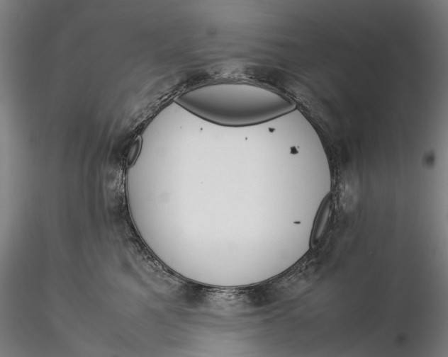 X0000115580521200912011442