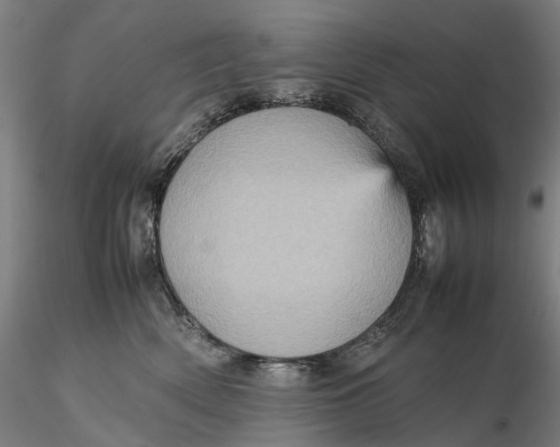 X0000115580522200912011442