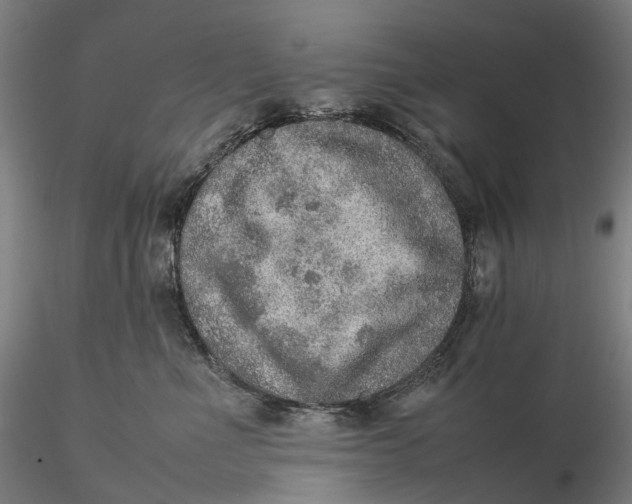 X0000115580523200912011442