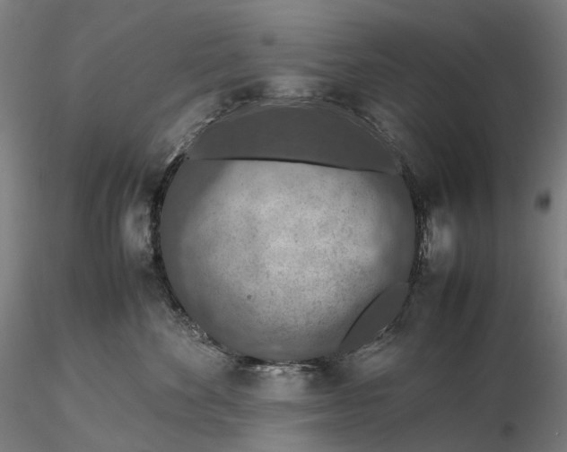 X0000115580524200912011442