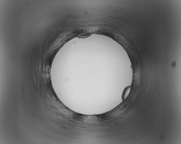 X0000115580525200912011442