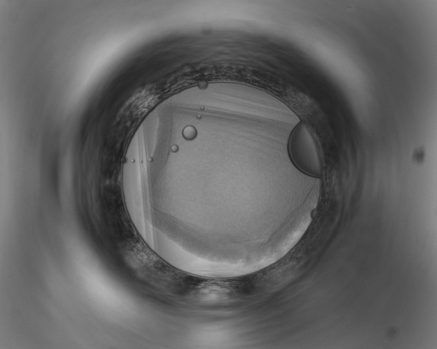 X0000115580526200912011442