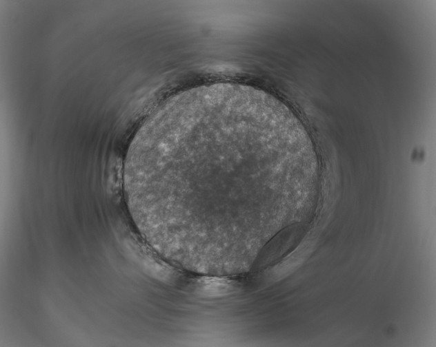 X0000115580528200912011442