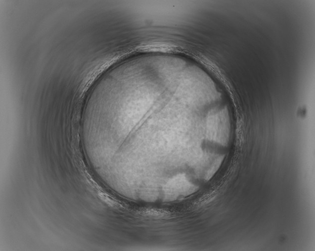 X0000115580529200912011441