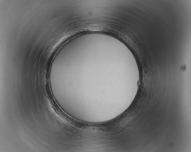 X0000115580530200912011441